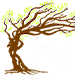 Shady Tree
