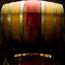 Shalestone Vineyards