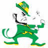 Shamrock Boxing Gym