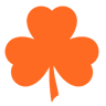 The Shamrock Bar