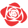 Shanghai Rose
