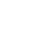 Shaolin Kungfu Yuan Arcadia School