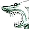 Sharky’s Wings & Raw Bar