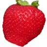 Sharrington Strawberries