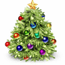 Shine & Lee's Christmas Trees