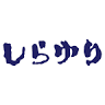 Nagaizumishirayuri