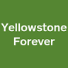 Yellowstone Forever Park Store - Canyon