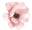 Bloom & Flourish Boutique
