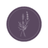 Lavender Patch