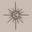 Moon Child Collective