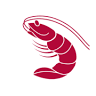 Shrimp Shack