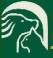 Shuttleworth Veterinary Group