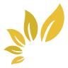 Shyam Agro Products