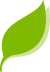 SIF- Sociedade de Investigações Florestais