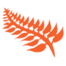 SILVER FERN RESURFACING (Licenced Resurfacer)