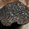 Silverwood Truffles