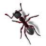 Simply Trust Pest Solutions LLC