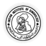 Indian Institute of Sindhology