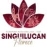 Presidencia Municipal de Singuilucan