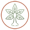 Franklyn R. Gergits, MS, DO