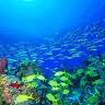 Siquijor Divers Center