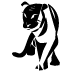 Sucursal SIS