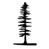 Sitka Electrical Systems Ltd.