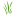Skiatook Herb Store LLC