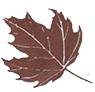 Ski’s Sugar Shack, Maple Syrup & Maple Products