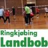 Skjern Badmintonklub
