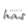 Galeria HAS