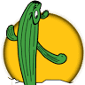SKP Saguaro Coop of AZ