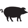 Slippery Pig Brewery