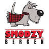 Smodzy