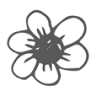 Snake River Flowers