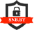 Sistemy Normativnoy Bezopasnosti