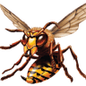 Mr. Snowden's Pest Control