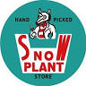 SNOW PLANT