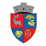 Primăria Socodor