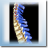 Solano Chiropractic Health Center Brian C McEvilly, DC