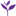 SOLPSIDE