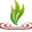 Solutions & Plants