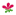 Solymári Háziorvosi Rendelő