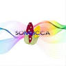 SOMEICCA