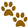 Somis Veterinary Hospital