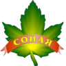 Sonaya Beton Lʹviv