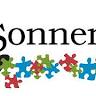 Sonnenberg Consultants LLC