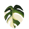 Soothing Nature LLC