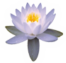 Soul & Me the Spa Ashok vihar