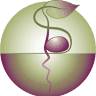 Soulbalance